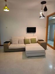 8 @ Mount Sophia (D9), Condominium #575613191